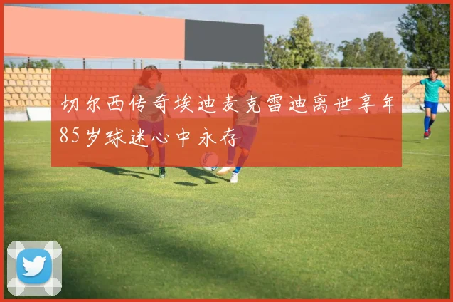 切尔西传奇埃迪麦克雷迪离世享年85岁球迷心中永存
