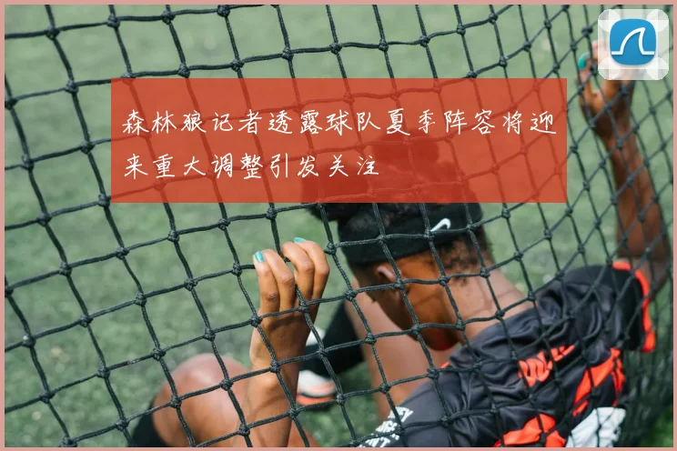 森林狼记者透露球队夏季阵容将迎来重大调整引发关注