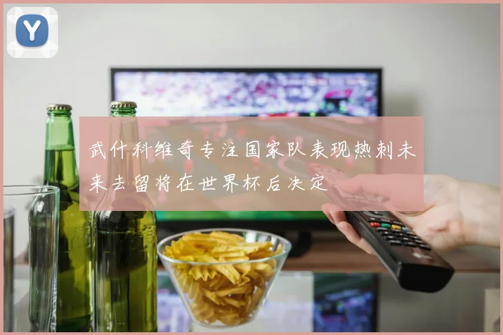 武什科维奇专注国家队表现热刺未来去留将在世界杯后决定